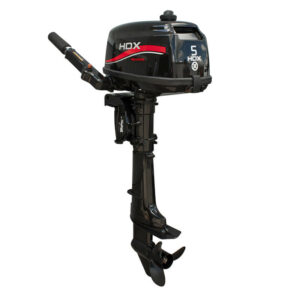 Фото мотора HDX R series T 5 BMS (5 л.с., 2 такта)